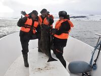 Норвегия: новичок и морская рыбалка 6–13 мая 2017