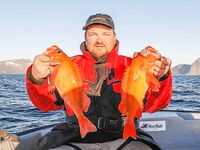 Сенья - морская рыбалка с пляжа и отчёт о базе