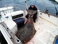 Норвегия коротко и по делу