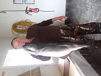 Норвегия, Lyngen Havfiske и морская рыбалка в августе