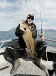 Норвегия, Lyngen Havfiske и морская рыбалка в августе