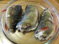 Норвегия, Lyngen Havfiske и морская рыбалка в августе