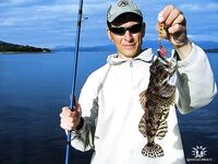 Берег Норвегии - палтус с гальки и где держится сайда