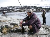 Берег Норвегии - палтус с гальки и где держится сайда