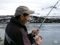 Берег Норвегии - палтус с гальки и где держится сайда