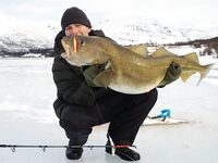 Норвегия, берег и рельеф для рыбалки с гальки