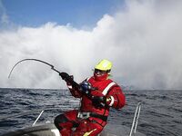 Безкольцевые палки в Норвегии: шнур внутри бланка — кто производитель?