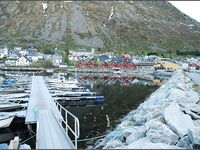 Сенья, Gryllefjord в Норвегии: шторм, пирс, ящики трески и сорванный палтус