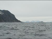 Сенья, Gryllefjord в Норвегии: шторм, пирс, ящики трески и сорванный палтус