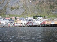 Сенья, Gryllefjord в Норвегии: шторм, пирс, ящики трески и сорванный палтус