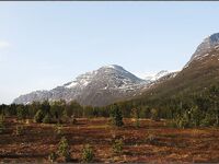 Сенья, Gryllefjord в Норвегии: шторм, пирс, ящики трески и сорванный палтус