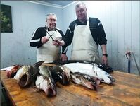 Сенья, Gryllefjord в Норвегии: шторм, пирс, ящики трески и сорванный палтус