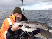 Сенья, Gryllefjord в Норвегии: шторм, пирс, ящики трески и сорванный палтус