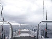 Сенья, Gryllefjord в Норвегии: шторм, пирс, ящики трески и сорванный палтус