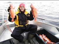 Сенья, Gryllefjord в Норвегии: шторм, пирс, ящики трески и сорванный палтус