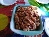 XLyngen в Норвегии, жара и глубины 120+: морская рыбалка по сайде и треске