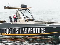 Big Fish Adventure в Норвегии, новые домики и лодки: стоит ли переплата ради морской рыбалки
