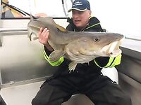 Миккелвик Брюгге: дорога, досмотры и один идеальный день