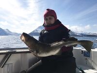 Торсваг - неделя на море с трофеями до 20 кг