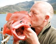 Соройя без ссылок: короткий отчёт о недавней поездке