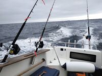 Норвегия и лебёдка: «вручную я бы сутки мотал»