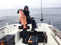 Вес и всё: 7 кг 600 г — короткая отметка из Норвегии