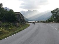 Сёрёйя в Норвегии - палтус на живца и морская рыбалка по плану