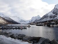 Сенья, Гриллефьорд и скреи в Норвегии, неделя морской рыбалки глазами команды