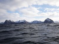 Сенья, Гриллефьорд и скреи в Норвегии, неделя морской рыбалки глазами команды