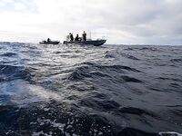 Сенья, Гриллефьорд и скреи в Норвегии, неделя морской рыбалки глазами команды