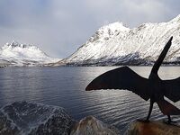 Сенья, Гриллефьорд и скреи в Норвегии, неделя морской рыбалки глазами команды