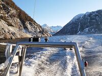 Сенья, Гриллефьорд и скреи в Норвегии, неделя морской рыбалки глазами команды