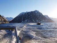 Сенья, Гриллефьорд и скреи в Норвегии, неделя морской рыбалки глазами команды