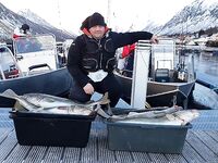 Сенья, Гриллефьорд и скреи в Норвегии, неделя морской рыбалки глазами команды