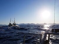 Сенья, Гриллефьорд и скреи в Норвегии, неделя морской рыбалки глазами команды