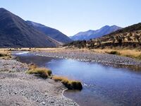 Новая Зеландия: горная форель на 9 кг и пара поменьше