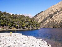 Новая Зеландия: горная форель на 9 кг и пара поменьше