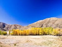 Новая Зеландия: горная форель на 9 кг и пара поменьше