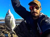 Португалия и ужин с сарго после законного размера