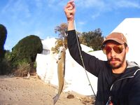 Португалия и ужин с сарго после законного размера