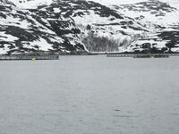 Переход вдоль берега у Рыбачьего и странные конструкции