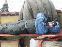 Торпедные шахты у залива на п-ове Рыбачий, нерпы и утки