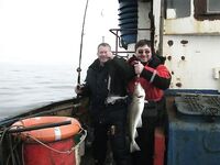 Не тот трофей у Рыбачьего - на крючке пикша