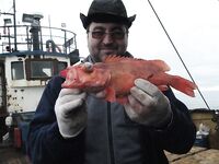 Полуостров Рыбачий: морская рыбалка и окунь со 170 м