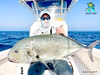 Крупный GT в Северном Омане, поппера 130–200 и релиз всего улова