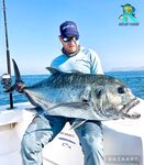 Бонусный GT 40+ в Северном Омане — дождались течки