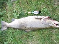 Стокгольм севернее от основной точки