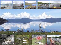 Швеция заполярье хариус путь через Кируна и озеро Торнетреск