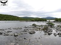 Швеция заполярье хариус путь через Кируна и озеро Торнетреск