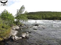 Швеция заполярье хариус путь через Кируна и озеро Торнетреск